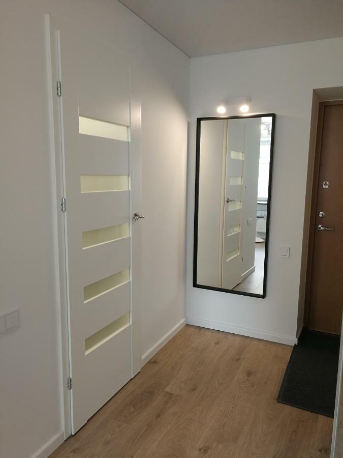 Buto Nuoma Sviesos Gatveje Apartment