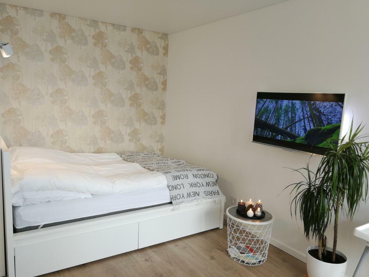 Apartment Buto Nuoma Sviesos Gatveje Telsiai
