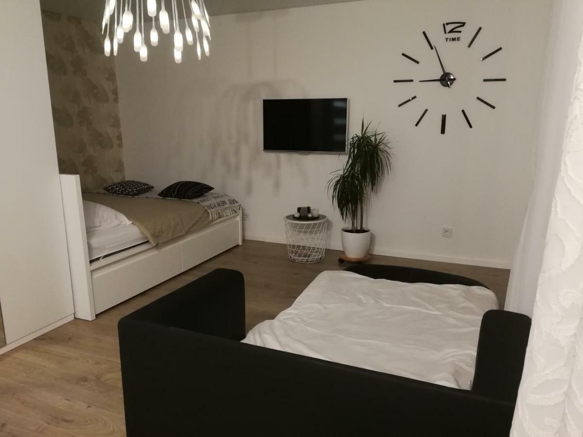 Buto Nuoma Sviesos Gatveje Apartment